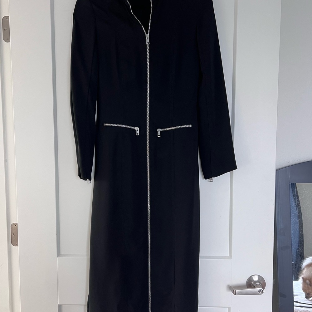 Zara Elegant Dark Dress